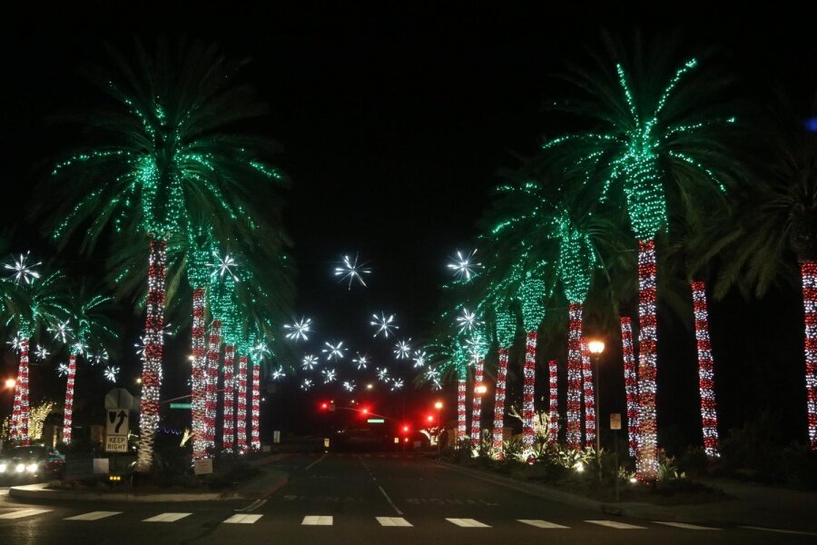 Palm trees wrapped in red, white and green lights along a street at night