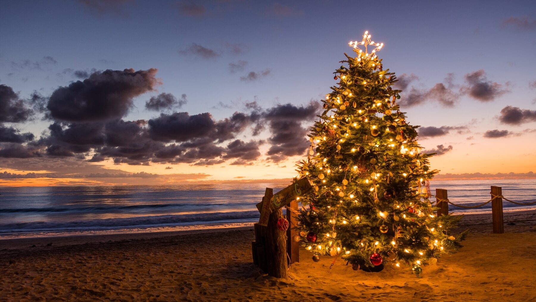 Lit Christmas tree decorated with shells and ornaments on a beach at sunset