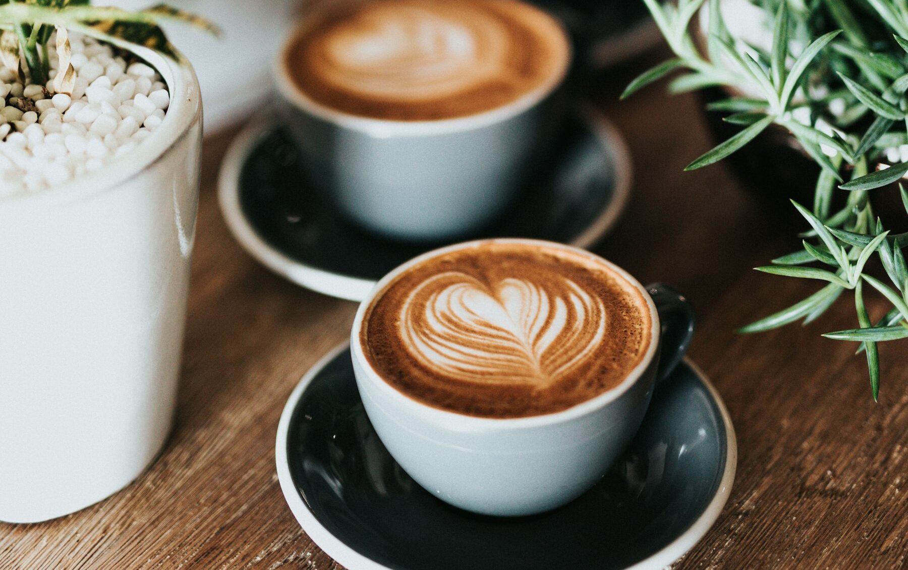 Cups of latte with heart-shaped latte art on saucers on a wooden table beside potted plants